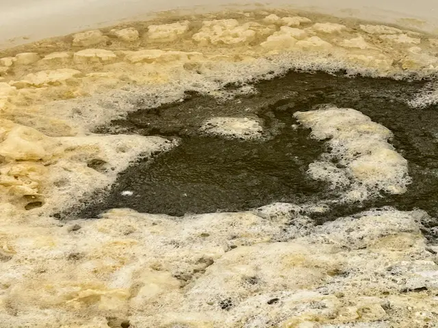 【風呂釜洗浄専門】確かな実績！FDA認可済の薬剤で風呂釜を徹底洗浄・除菌します！サービスの画像