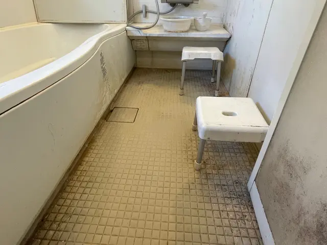 ◎カビ、水垢、曇った鏡、任せてください！丁寧な作業でお掃除します！！サービスの画像