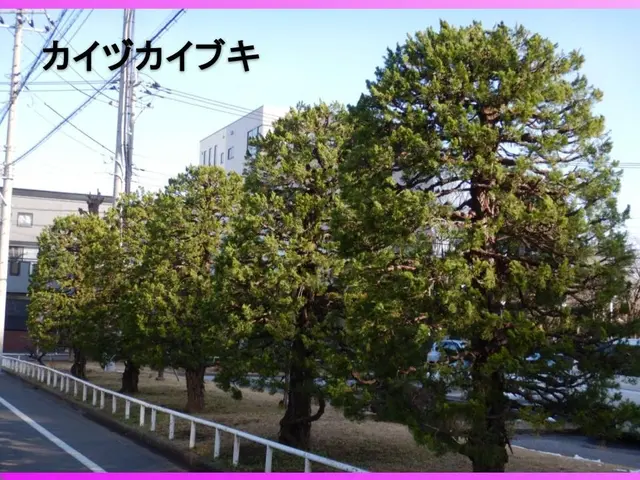 【女性店長が対応】国家資格あり☆13年/2000件実績あり◉大手経験ありサービスの画像