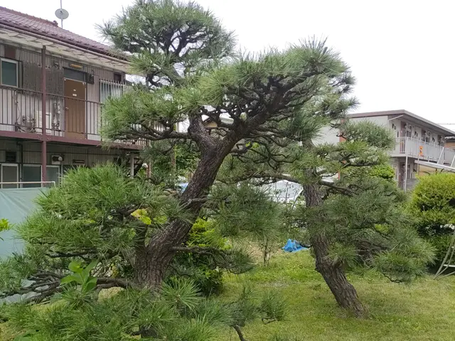 【女性店長が対応】国家資格あり☆13年/2000件実績あり◉大手経験ありサービスの画像