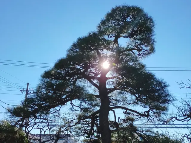 【女性店長が対応】国家資格あり☆13年/2000件実績あり◉大手経験ありサービスの画像