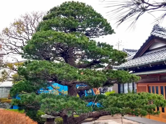 【女性店長が対応】国家資格あり☆13年/2000件実績あり◉大手経験ありサービスの画像
