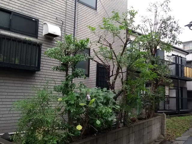 【女性店長が対応】国家資格あり☆13年/2000件実績あり◉大手経験ありサービスの画像