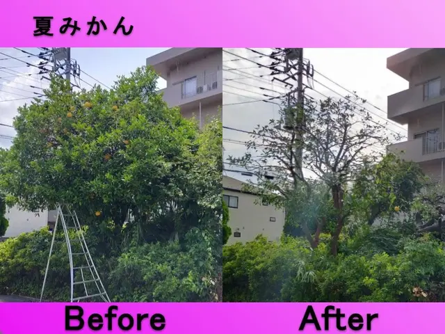 【女性店長が対応】国家資格あり☆13年/2000件実績あり◉大手経験ありサービスの画像