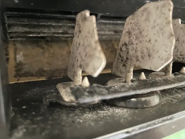 真心対応★自然由来天然やさしいエコ洗剤使用★お子様ペットに★オススメ抗菌コート！サービスの画像