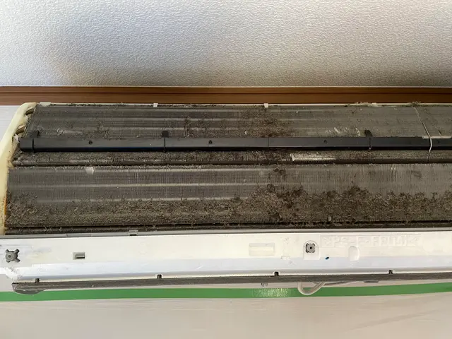 真心対応★自然由来天然やさしいエコ洗剤使用★お子様ペットに★オススメ抗菌コート！サービスの画像