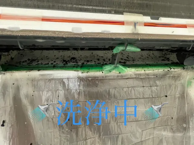 初めての方も安心！複数台がお得！哺乳瓶も洗える！安心天然エコ洗剤使用！！サービスの画像