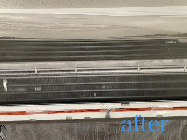 初めての方も安心！複数台がお得！哺乳瓶も洗える！安心天然エコ洗剤使用！！サービスの画像