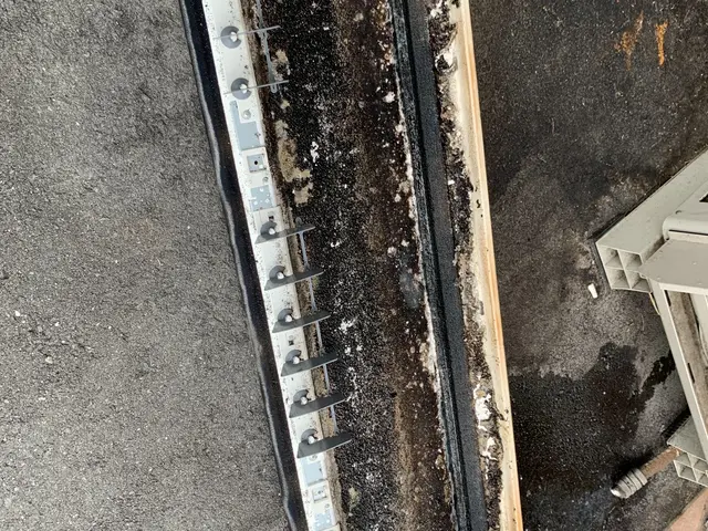 ☆1月2月ご予約につき早割☆1000OFF!!!!サービスの画像