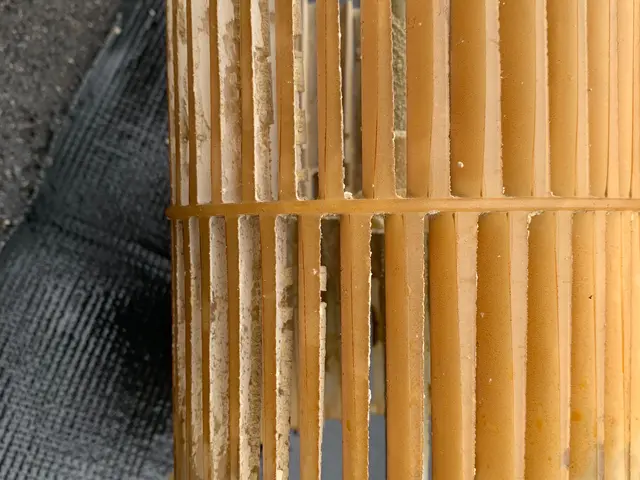 ☆1月2月ご予約につき早割☆1000OFF!!!!サービスの画像