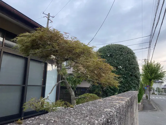 ◎PayPay使えます◎気難しい親方ではありません◎お茶不用◎トイレ借りませんサービスの画像