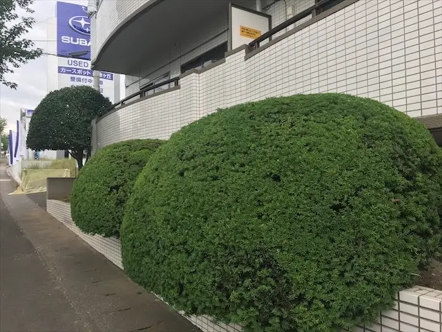 ◎PayPay使えます◎気難しい親方ではありません◎お茶不用◎トイレ借りませんサービスの画像