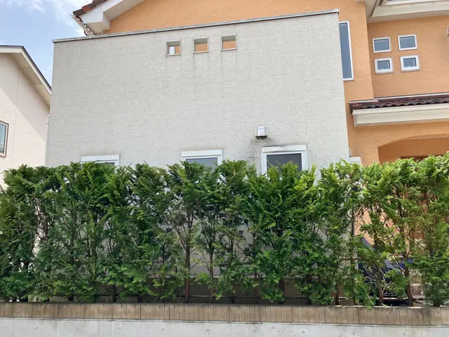 ◎PayPay使えます◎気難しい親方ではありません◎お茶不用◎トイレ借りませんサービスの画像