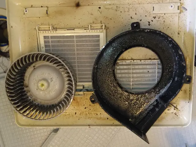 浴室内クリーニング ！サービスの画像