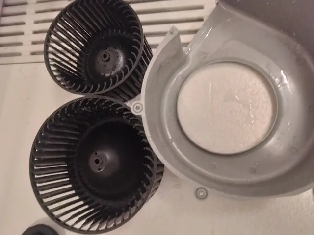 浴室内クリーニング ！サービスの画像