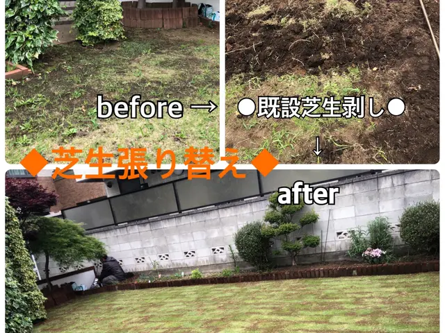 【芝張りに適した時期到来】◎TM9追加費用対応可能◎◉5月15日まで承ります◉サービスの画像