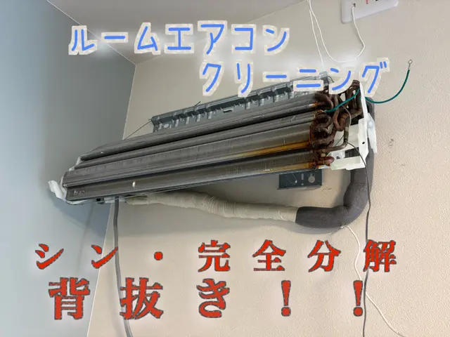 女性スタッフ同行可能！しっかりと時間をいただいて綺麗にします！サービスの画像