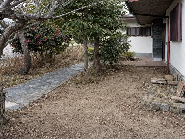 【空き家・不在宅の見守り点検付き】落ち葉清掃｜写真報告サービスの画像