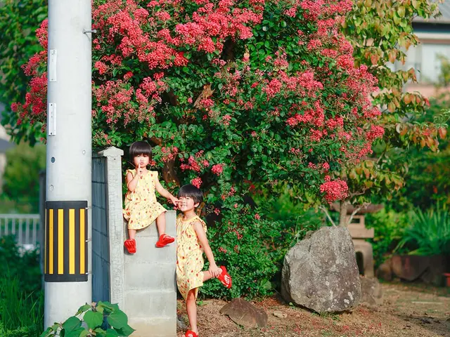 出張撮影・カメラマン / 家族・成人式・卒業式・入学式サービスの画像