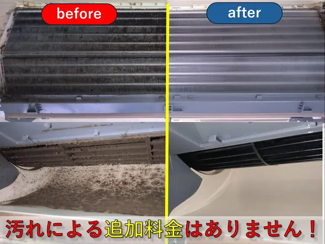 【新規出店☆抗菌コート無料】非喫煙者☆全メーカー対応☆損害保険加入サービスの画像