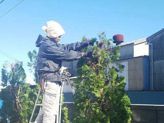 【1/28～◎】◇一級造園技能士◇料金追加なし！業歴17年サービスの画像