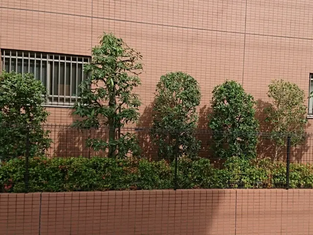 【1/28～◎】◇一級造園技能士◇料金追加なし！業歴17年サービスの画像