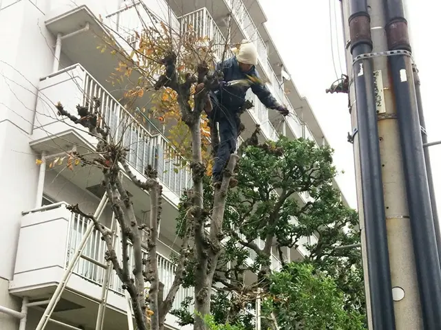 【1/28～◎】◇一級造園技能士◇料金追加なし！業歴17年サービスの画像