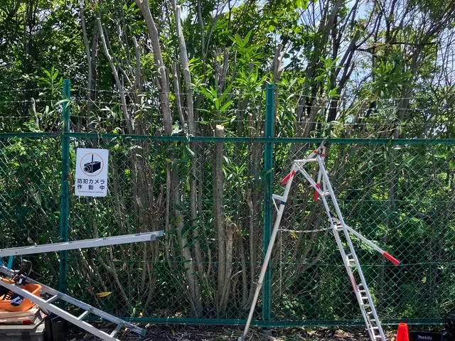 庭木の伐採・抜根をお任せくださいサービスの画像