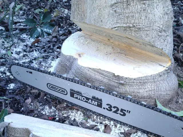 お庭をスッキリさせてみませんか？　防犯対策にもなります。お庭じまい等も！サービスの画像