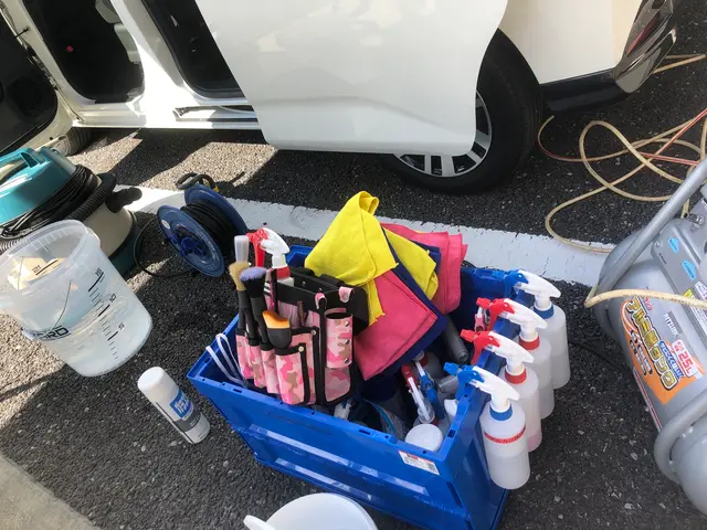 300件の実績！愛車家が手掛ける至高のルームクリーニングケア　(当日予約・作業可サービスの画像