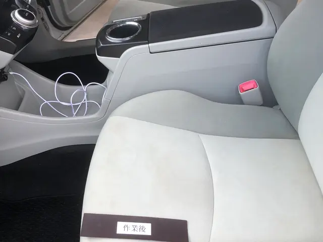 300件の実績！愛車家が手掛ける至高のルームクリーニングケア　(当日予約・作業可サービスの画像