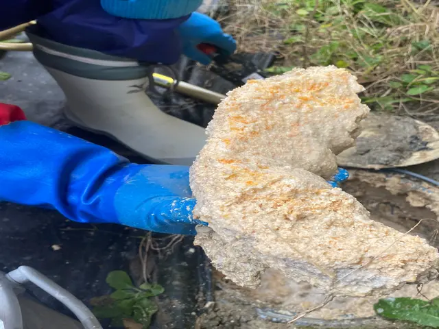 【緊急対応可能】店舗の詰まり・排水トラブル高圧洗浄対応◎営業に配慮した即日解決♪サービスの画像