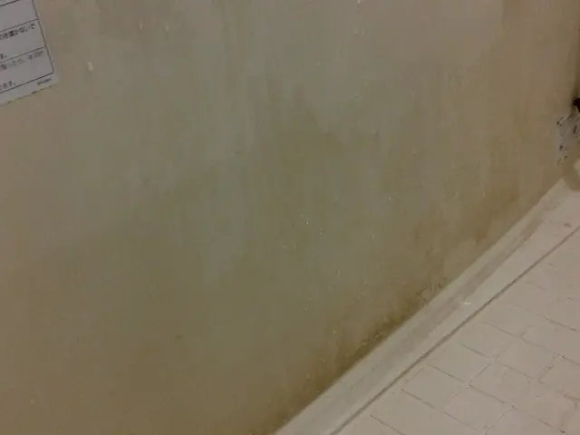 【損害保険加入済み】全て必ず自社で対応します。外注はございません！サービスの画像