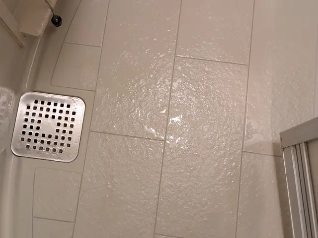 オータムフェア　10月中の清掃限定価格です。11月から年末料金となります。サービスの画像