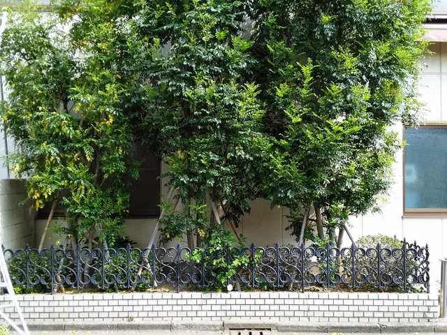 【年中無休】庭木の剪定、刈り込み作業。高くて届かない高木の部分剪定などサービスの画像