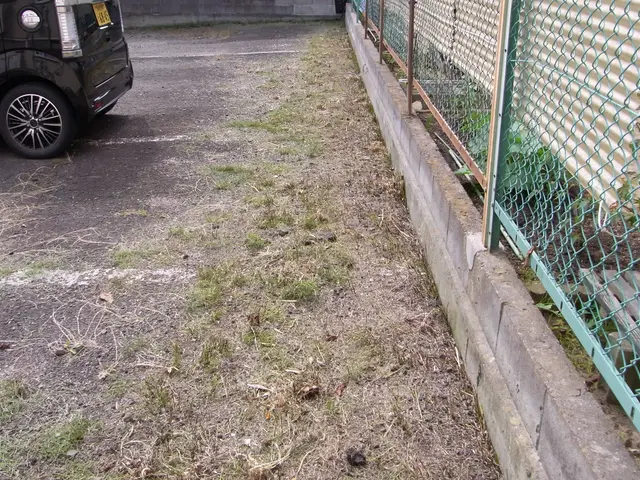 ★★11月中に除草をお申し込み頂ければ除草剤無料散布いたします★★サービスの画像