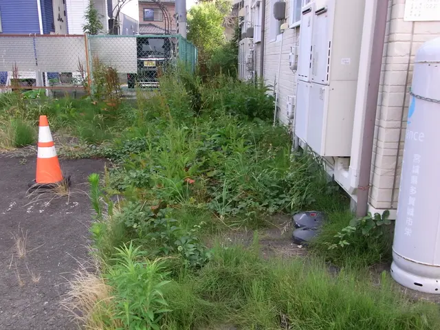 ★★11月中に除草をお申し込み頂ければ除草剤無料散布いたします★★サービスの画像