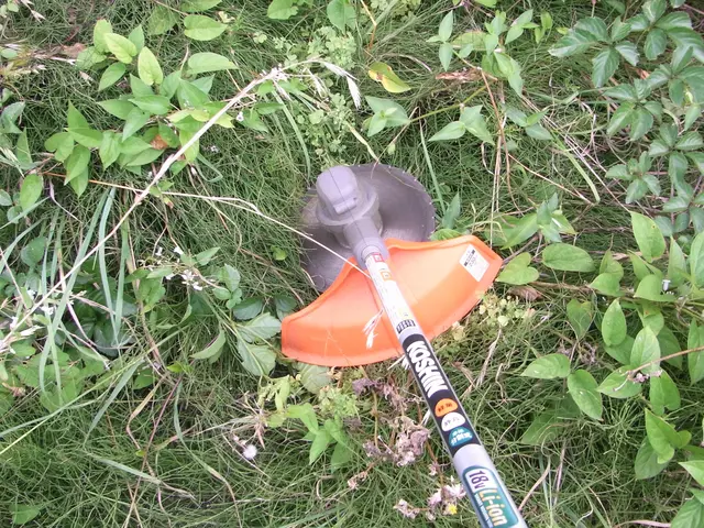 ★★11月中に除草をお申し込み頂ければ除草剤無料散布いたします★★サービスの画像