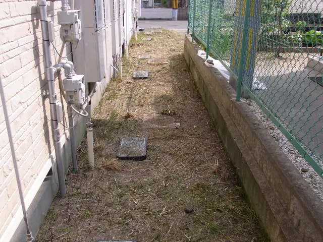 ★★11月中に除草をお申し込み頂ければ除草剤無料散布いたします★★サービスの画像