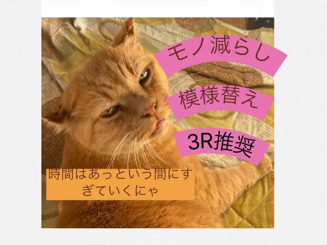 新規要問い合わせ4Hから受付※女性・家族向け/お部屋レスキュー・整理平均一回5Hサービスの画像