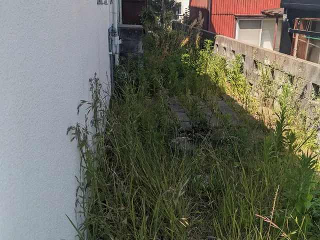 丁寧に草むしり（手作業）致します。格安/迅速/夜間/早朝/休日対応/お気軽にサービスの画像