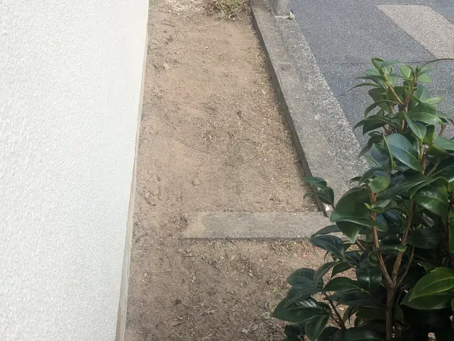 丁寧に草むしり（手作業）致します。格安/迅速/夜間/早朝/休日対応/お気軽にサービスの画像