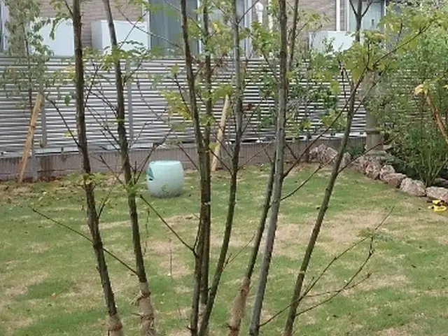 【職人歴24年の実績】予約から施工まで自社対応・アフターフォローも万全サービスの画像