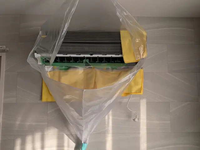 【◎複数台割引実施中！】◆植物性洗剤使用◆損害保険◇若手二人組ベンチャーサービスの画像