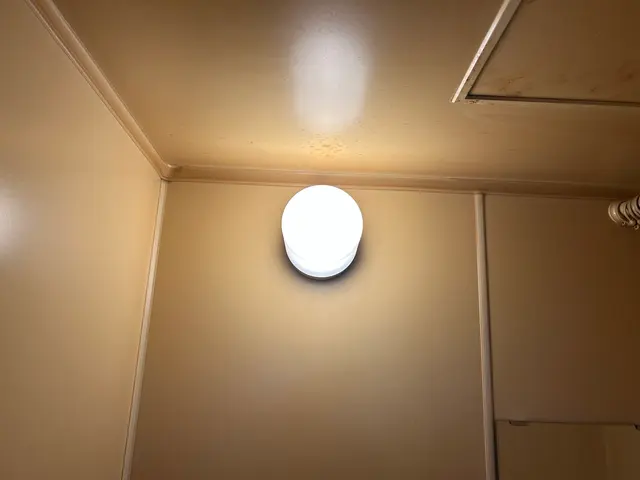 浴室照明器具の交換サービスの画像