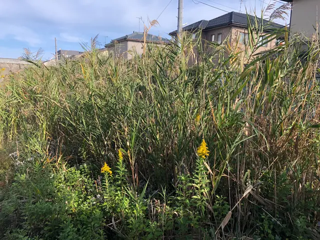 【年中無休で対応！】お客様の「困った」を解決します。対応地域外でも対応可能◎サービスの画像