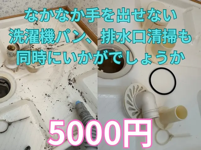 ☆くらしのマーケット出店記念☆   丁寧に作業をします、自分の洗濯機だと思って。サービスの画像