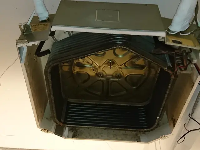 キャンペーン開催中！消臭抗菌無料です！PayPay決済可能です！サービスの画像