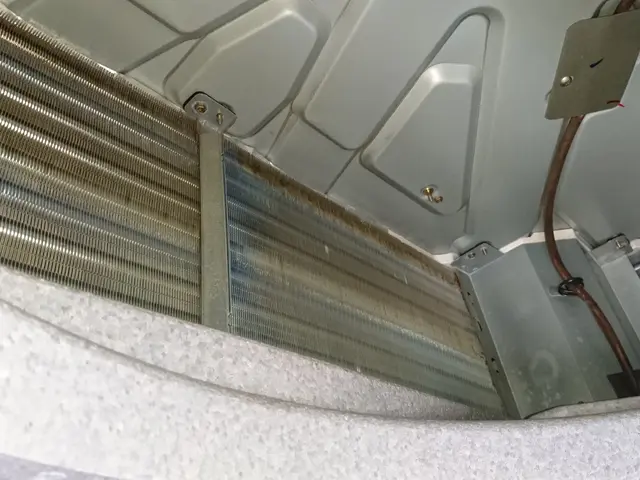 キャンペーン開催中！消臭抗菌無料です！PayPay決済可能です！サービスの画像