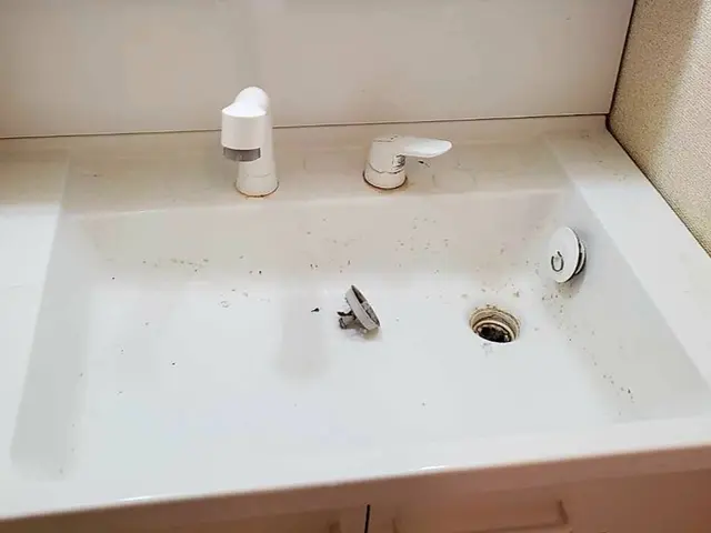 【洗面所クリーニング】気になる鏡汚れや洗面台の汚れもキレイに◎サービスの画像